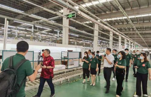 中国泛家居网红联盟探秘SAKURA樱花 科技赋能美好生活新体验